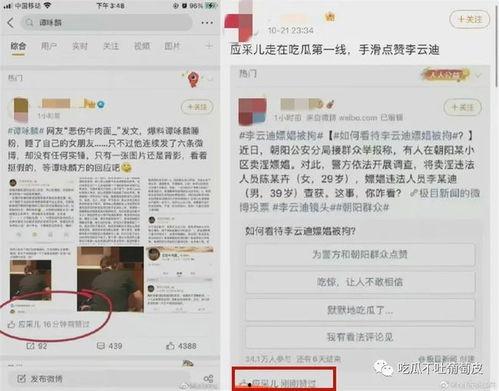 娱乐圈吃瓜的文件,幕后真相与明星隐私曝光