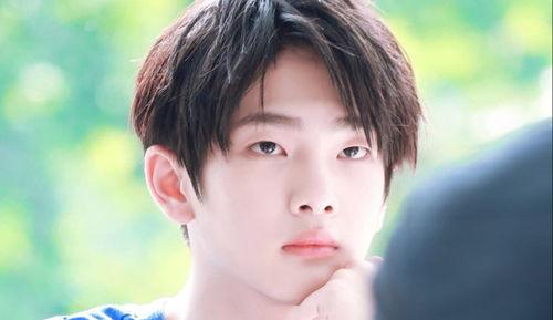 娱乐吃瓜社娱小仙小说,娱乐圈的甜蜜瓜田