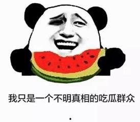 娱乐吃瓜酱你有这些表现,揭秘娱乐圈背后的那些事儿